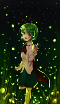 1girl antennae black_cape black_shoes black_shorts blush cape commentary fireflies foot_out_of_frame green_eyes green_hair long_sleeves looking_at_viewer night nyanaya outdoors shirt shoes short_hair shorts smile solo standing standing_on_one_leg touhou two-sided_cape two-sided_fabric white_shirt wriggle_nightbug