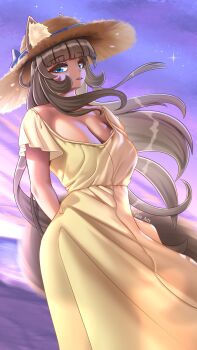 Rule 34 | 1girl, absurdres, animal ears, beach, blue eyes, blunt bangs, breasts, brown hair, cat ears, cat girl, cat tail, cloud, cloudy sky, dress, hat, highres, large breasts, long hair, looking at viewer, original, purple sky, see-through clothes, see-through dress, simple background, sky, smile, star (sky), straw hat, sunset, tail, takie, takie arts, very long hair, wind, yellow dress