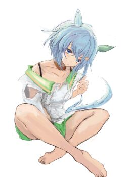 1girl animal_ears barefoot blue_eyes breasts choker closed_mouth collarbone commentary_request ear_covers flower green_sailor_collar green_shorts grey_hair hair_between_eyes hair_flower hair_ornament hairclip horse_ears horse_girl horse_tail sailor_collar seiun_sky_(reeling_in_the_big_one)_(umamusume) seiun_sky_(umamusume) shirt short_hair shorts simple_background single_ear_cover small_breasts smile solo sunflower sunflower_hair_ornament tail umamusume white_background white_shirt yanagi_wakana