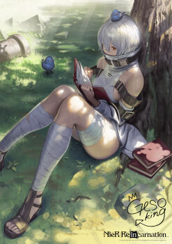 1girl absurdres animal animal_on_head bandaged_leg bandages bare_shoulders belt bird bird_on_head book book_stack breasts commentary_request copyright_name dark-skinned_female dark_skin detached_sleeves dress gesoking hair_between_eyes highres long_sleeves nier_(series) nier_reincarnation noelle_(nier) official_art on_head outdoors reading red_eyes sandals short_hair solo toes tree under_tree
