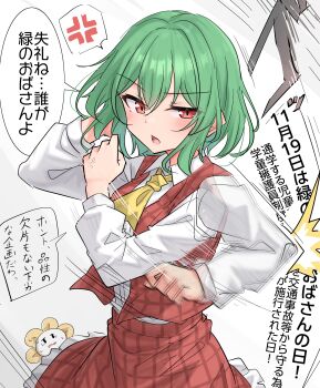 1girl absurdres anger_vein ascot blush commentary_request crossover flowey_(undertale) green_hair highres kazami_yuuka long_sleeves open_mouth plaid_clothes plaid_skirt red_eyes red_skirt shirt short_hair skirt solo_focus speech_bubble spoken_anger_vein touhou translation_request undertale utdr_(toby_fox) white_shirt yellow_ascot youyume-kun