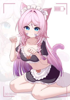 Rule 34 | 1girl, absurdres, alternate costume, animal ear fluff, animal ears, apron, black skirt, blue eyes, blush, bow, braid, breasts, cat ears, cat tail, citlali (genshin impact), cleavage, closed mouth, collarbone, commentary, crop top, enmaided, facial mark, foot out of frame, forehead mark, frilled apron, frilled hairband, frills, genshin impact, gradient hair, hairband, hands up, highres, kemonomimi mode, large variant set, long hair, looking at viewer, maid, maid headdress, medium breasts, multicolored hair, navel, paw pose, pink hair, pink pupils, purple hair, purple tail, red bow, sitting, skirt, stomach, tail, triangle, triangle facial mark, twin braids, variant set, very long hair, waist apron, white apron, white background, white hairband, yaoli (ysxbd), zoom layer
