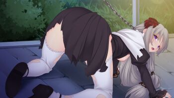 1girl all_fours ass black_dress blush breasts breasts_out chain chain_leash chained dress flower frilled_thighhighs frills from_behind game_cg grey_hair hair_between_eyes hair_flower hair_ornament juliet_sleeves kourin_tenshi_en_ciel_rena kura_(en_ciel_rena) large_variant_set leash long_hair long_sleeves looking_at_viewer looking_back low-tied_long_hair medium_breasts nipples non-web_source official_art open_mouth outdoors puffy_sleeves purple_eyes red_flower saitou_natsuki shoes solo stone_floor suhamaya thighhighs tongue torn_clothes torn_dress torn_thighhighs variant_set very_long_hair white_thighhighs