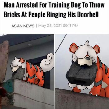 brick claws covered_eyes fangs flbreglass gen_1_pokemon highres hisuian_growlithe holding horns meme news nintendo no_humans orange_fur outdoors pokemon pokemon_(creature) pokemon_focus real_life short_hair single_horn tail white_tail