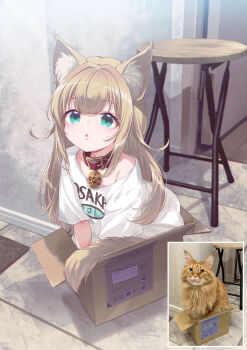 1girl 40hara animal_ears aqua_eyes box brown_hair cardboard_box cat cat_ears cat_girl cat_tail collar highres in_box in_container kinako_(40hara) long_hair looking_at_viewer original photo-referenced reference_inset shirt short_sleeves stool tail triangle_mouth white_shirt