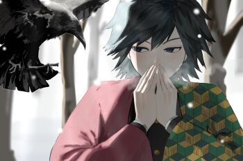 1boy bird black_hair black_jacket blue_eyes buttons crow demon_slayer_uniform gold_buttons hands_up haori henp_12 high_collar highres jacket japanese_clothes kanzaburou_(kimetsu_no_yaiba) kikkoumon kimetsu_no_yaiba long_hair looking_at_animal low_ponytail male_focus outdoors ponytail print_haori red_haori snow solo spiked_hair tomioka_giyuu