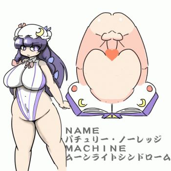 ! 2boys 2girls animated animated_gif censored crescent cum cum_in_pussy eyebrows f-zero hat hitachi_magic_wand lowres mating_press mob_cap multiple_boys multiple_girls nintendo outdoors parody patchouli_knowledge penis pussy sex_toy standing testicles text_focus touhou vibrator youmeituzaki