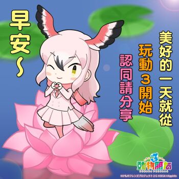 1girl bird_girl bird_tail bird_wings chinese_text greater_flamingo_(kemono_friends) highres kemono_friends kemono_friends_3 kurokw looking_at_viewer official_art solo tail wings