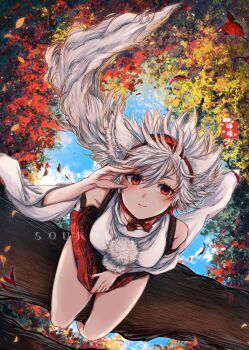 1girl animal_ears artist_name autumn_leaves bare_shoulders blue_sky breasts cloud commentary_request detached_sleeves falling_leaves from_above hair_between_eyes hat highres inubashiri_momiji leaf leaf_print light_smile looking_at_viewer maple_leaf_print medium_breasts pom_pom_(clothes) red_eyes red_skirt shirt short_hair sitting_on_branch skirt skirt_hold sky sleeveless sleeveless_shirt solo soukou_(artist) tail thighs tokin_hat touhou twitter_username upside-down white_hair wolf_ears wolf_girl wolf_tail