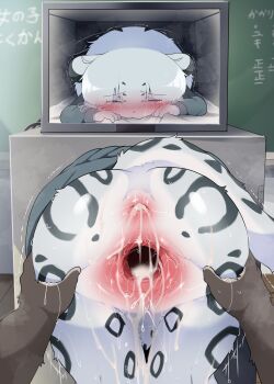 1boy 1girl after_anal after_vaginal aftersex animal_ears ass blue_eyes blue_fur blue_hair blush body_fur cum cum_in_ass cum_in_pussy dagasi furry furry_female furry_male furry_with_furry gaping grabbing_another's_ass green_jacket groping hetero highres jacket leopard_ears leopard_girl leopard_tail loli original screen short_hair snow_leopard tail tears uncensored yuki-chan_(dagashi)