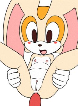 1girl anal animated animated_gif brown_eyes cream_the_rabbit furry loli mikitng nipples nude penis pussy sex sonic_(series)