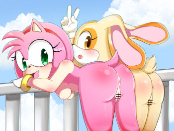 0227 2girls amy_rose brown_eyes cream_the_rabbit green_eyes loli multiple_girls nipples nude sonic_(series)