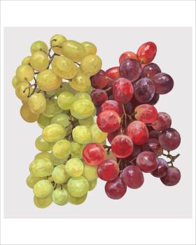 border commentary_request food food_focus fruit fruit_focus grapes highres no_humans original sunoji08 white_border