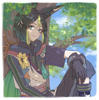 1boy animal_ear_fluff animal_ears asymmetrical_sleeves black_gloves black_hair black_pants blue_sky border closed_mouth commentary_request day drawstring flower fox_boy fox_ears genshin_impact gloves green_eyes green_hair hair_between_eyes hand_on_own_knee looking_at_viewer male_focus multicolored_hair outdoors pants short_hair sitting sky smile streaked_hair tassel tighnari_(genshin_impact) tree twitter_username white_border yellow_flower yoneya_(ocome_otabe)