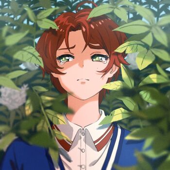 1girl androgynous blue_sweater blurry blurry_foreground closed_mouth collared_shirt commentary crying crying_with_eyes_open depth_of_field dress_shirt flower frown furrowed_brow green_eyes hashtag-only_commentary leaf mixikooo mole mole_under_eye parted_bangs plant red_hair sad sawaki_momoe shirt short_hair solo straight-on sweater tears upper_body white_flower white_shirt wonder_egg_priority