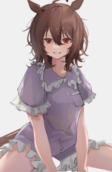 1girl absurdres agnes_tachyon_(umamusume) ahoge animal_ears blue_shirt blue_shorts breast_pocket brown_hair commentary_request frilled_shirt frilled_shirt_collar frilled_shorts frilled_sleeves frills grin highres horse_ears horse_girl horse_tail looking_at_viewer parted_lips pocket red_eyes sei_(bigaa) shirt short_hair shorts smile solo tail umamusume