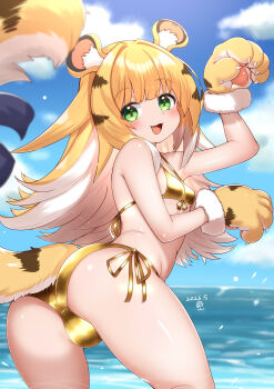 :3 animal_ear_fluff animal_ears animal_print arched_back ass back-tie_bikini beach bikini blonde_hair blue_bow blue_sky blush bow breasts cloud colored_inner_hair fang gloves gold_bikini green_eyes hair_over_shoulder hands_up horokusa_(korai) ju_fufu loli long_hair looking_at_viewer multicolored_hair ocean open_mouth outdoors paw_gloves paw_pose side-tie_bikini_bottom sky small_breasts smile swimsuit tail tail_bow tail_ornament thighs tiger_ears tiger_girl tiger_print tiger_tail very_long_hair zenless_zone_zero