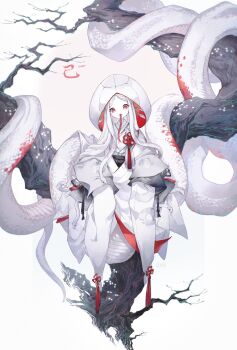1girl 2025 chinese_knot chinese_zodiac commentary_request forked_tongue highres hoshi_rousoku japanese_clothes kimono lamia long_tongue looking_at_viewer monster_girl original red_eyes sitting_on_branch snake snake_girl snake_hair solo tassel tongue tongue_out very_long_tongue white_hair white_kimono white_snake year_of_the_snake