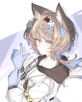 Rule 34 | 1girl, adjusting clothes, adjusting gloves, animal ear fluff, animal ears, arknights, armband, aroma (arknights), black hairband, black hood, blue eyes, blue gloves, blue hair, braid, brown hair, closed mouth, commentary, expressionless, flower, gloves, hair flower, hair ornament, hairband, hood, hood down, hosakana, infection monitor (arknights), jacket, long hair, long sleeves, looking at viewer, multicolored hair, solo, two-tone hair, upper body, white flower, white jacket, yellow armband