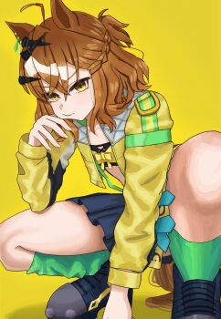 Rule 34 | 1girl, absurdres, ahoge, animal ears, atyattyan, bandeau, blush, breasts, brown hair, cleavage, closed mouth, earrings, green socks, hair between eyes, hair ornament, hairclip, highres, horse ears, horse girl, horse tail, jacket, jewelry, jungle pocket (champion's battle cry) (umamusume), jungle pocket (umamusume), long sleeves, looking at viewer, medium breasts, medium hair, notched ear, open clothes, shirt, simple background, skirt, smile, socks, solo, squatting, tail, umamusume, yellow background, yellow eyes, yellow jacket
