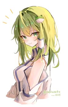 1girl blush breasts closed_mouth commentary detached_sleeves frog_hair_ornament green_eyes green_hair hair_ornament hair_tubes highres kochiya_sanae large_breasts long_hair looking_at_viewer nekoneko_1225 smile snake_hair_ornament solo touhou twitter_username upper_body