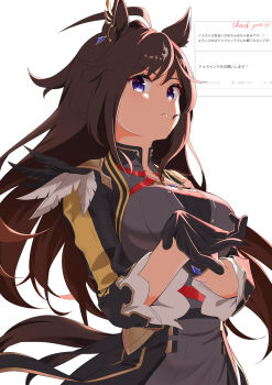 1girl absurdres ahoge animal_ears black_dress black_gloves black_jacket blue_eyes breasts brown_hair closed_mouth dress duramente_(red_in_black)_(umamusume) duramente_(umamusume) ear_chain ear_ornament gloves hair_between_eyes highres horse_ears horse_girl horse_tail jacket kazoku_chicken large_breasts linked_piercing long_hair long_sleeves looking_at_viewer multicolored_hair open_clothes open_jacket piercing simple_background solo streaked_hair tail umamusume upper_body white_background white_hair
