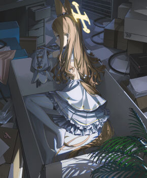 1girl absurdres animal_ears backless_dress backless_outfit blonde_hair blue_archive blush box cardboard_box commentary_request cross_halo detached_sleeves dor_m drawer dress extra_ears feet flower fox_ears fox_girl fox_tail frilled_skirt frills hair_flower hair_ornament halo high_heels highres loli long_hair long_tail looking_at_viewer looking_back millennium_science_school_logo open_drawer pantyhose pinstripe_pantyhose plant seia_(blue_archive) shoes sidelocks skirt sleeves_past_fingers sleeves_past_wrists solo striped_clothes striped_pantyhose tail thighhighs toes unworn_shoes vertical-striped_clothes vertical-striped_pantyhose very_long_hair white_dress yellow_eyes yellow_halo