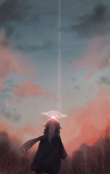 1girl absurdres black_skirt blue_archive blue_jacket blue_scarf blue_sky cloud commentary english_commentary from_behind halo highres hoshino_(blue_archive) hoshino_(second_year)_(blue_archive) jacket long_hair meteor_shower orange_clouds outdoors pink_hair pink_halo pleated_skirt ponytail ring_of_light_(blue_archive) scarf simple_bird skirt sky sleeves_past_wrists solo star_(sky) teardrop_pwq tree wide_shot winter