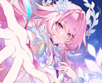 Rule 34 | 1girl, blue flower, blue rose, breasts, closed mouth, commentary request, cyrene (honkai: star rail), cyrene (ripples of past reverie) (honkai: star rail), diamond-shaped pupils, diamond (shape), feng zhu shang beo hen, fingernails, flower, hair flower, hair ornament, highres, honkai: star rail, honkai (series), large breasts, looking at viewer, nail polish, offering hand, pink hair, pink nails, purple eyes, rose, smile, solo, symbol-shaped pupils, upper body