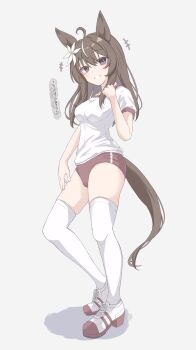 1girl animal_ears blush breasts brown_eyes brown_hair buruma commentary_request flower full_body hair_between_eyes hair_flower hair_ornament highres horse_ears horse_tail long_hair looking_at_viewer medium_breasts original shoes solo tail thighhighs tofu_thunder translation_request white_background