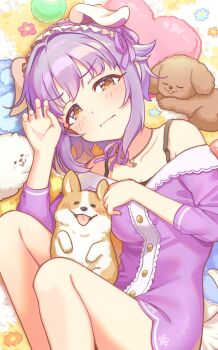 1girl animal_ears black_bra blush bone bra breasts brown_eyes cleavage collarbone commentary_request cropped_legs dog_ears dress flower frilled_headband hair_flaps hair_intakes hair_ornament hair_ribbon headband highres idolmaster idolmaster_cinderella_girls jewelry koshimizu_sachiko looking_at_viewer lying necklace on_side purple_dress purple_hair purple_ribbon ribbon satumai_m sidelocks single_claw_pose sleeping small_breasts solo tongue tongue_out underwear welsh_corgi