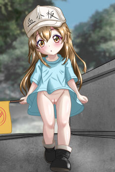 1girl baseball_cap black_boots blue_shirt blush boots bottomless brown_eyes brown_hair chapio clothes_writing collarbone flag flat_chest hat hataraku_saibou highres holding holding_flag loli long_hair looking_at_viewer no_panties no_symbol open_mouth oversized_clothes oversized_shirt platelet_(hataraku_saibou) pussy shirt short_sleeves sky tree walking white_hat wind wind_lift
