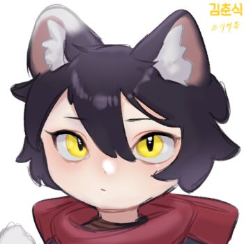 Rule 34 | 1girl, animal ear fluff, animal ears, artist name, black hair, cat ears, cat girl, cat tail, commentary, deformed, dungeon meshi, english commentary, highres, izutsumi, kimchunsik, ponytail, red scarf, scarf, short hair, simple background, slit pupils, solo, tail, white background, yellow eyes
