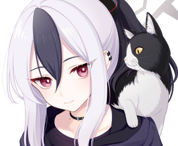 1girl animal animal_on_shoulder black_choker black_hair blue_archive cat cat_on_shoulder choker closed_mouth colored_sclera grey_hair hair_between_eyes halo hood hood_down hoodie kayoko_(blue_archive) mole mole_on_neck multicolored_hair ponytail red_eyes simple_background solo tobade_(tbdfactory) upper_body white_background yellow_sclera