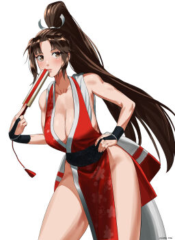 1girl absurdres breasts fatal_fury highres large_breasts long_hair shiranui_mai tagme