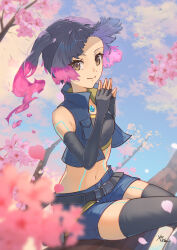 Rule 34 | 1girl, alternate hair color, black gloves, black hair, black thighhighs, blue jacket, blue shorts, blue sky, blurry, blurry foreground, branch, breasts, brown eyes, cherry blossoms, closed mouth, cloud, cloudy sky, commentary, day, depth of field, elbow gloves, fiery hair, fingerless gloves, fire, flower, forehead, gloves, hanami, highres, in tree, jacket, looking at viewer, navel, one side up, open clothes, open jacket, outdoors, petals, pink fire, pink flower, pink hair, sena (xenoblade), shorts, signature, sitting, sky, sleeveless, sleeveless jacket, small breasts, smile, solo, thighhighs, tree, xenoblade chronicles (series), xenoblade chronicles 3, yanagimachi