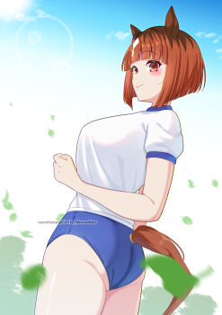 1girl animal_ears ass blue_buruma breasts brown_hair buruma commission gym_shirt highres horse_ears horse_girl horse_tail large_breasts nanohana_(november.) red_eyes shirt short_hair skeb_commission solo tail transcend_(umamusume) twitter_username umamusume white_shirt