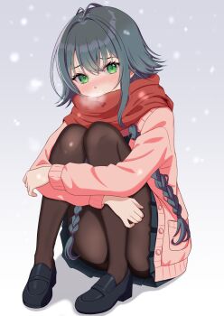 Rule 34 | 1girl, absurdres, antenna hair, black shoes, black skirt, blush, braid, breath, brown pantyhose, cardigan, commentary, gakuen idolmaster, green eyes, green hair, highres, hugging own legs, idolmaster, kenja yoshihiko, knees up, loafers, long hair, long sleeves, looking at viewer, miniskirt, nose blush, pantyhose, pink cardigan, pleated skirt, red scarf, scarf, shoes, sitting, skirt, snowing, solo, tsukimura temari, twin braids, very long hair