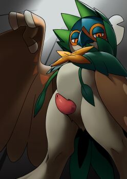 1boy absurdres animal_penis beak bird_boy brown_wings commentary_request decidueye from_below furry furry_male gen_7_pokemon highres katahane3 looking_at_viewer nintendo orange_eyes partial_commentary penis pokemon pokemon_(creature) solo uncensored winged_arms wings