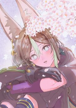 1boy black_gloves black_hair black_jacket black_pants blue_eyes blush cherry_blossoms commentary_request double-parted_bangs flower genshin_impact gloves green_hair hair_between_eyes highres jacket looking_at_flowers male_focus multicolored_hair open_mouth otanpopo1208 outdoors pants pink_flower short_hair sitting solo streaked_hair tighnari_(genshin_impact)