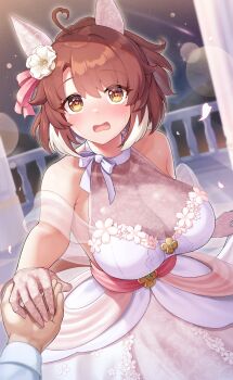 1boy 1girl animal_ears bare_shoulders blurry bokeh bow bow_choker breasts brown_eyes brown_hair choker commentary_request dantsu_flame_(umamusume) depth_of_field dress ear_covers falling_petals floral_print floral_print_dress flower gloves hair_flower hair_ornament halterneck heart heart-shaped_pupils highres holding_hands horse_ears horse_girl lace lace_gloves large_breasts looking_at_viewer medium_hair multicolored_dress multicolored_hair petals pink_dress pov pov_hands print_dress see-through_cleavage see-through_clothes shinonome_(shinonome_rynn) streaked_hair symbol-shaped_pupils umamusume wedding_dress white_bow white_choker white_flower white_streaks