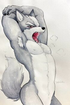1boy abs animal_ears artist_name claws commentary completely_nude fangs furry furry_male highres looking_at_viewer male_focus nintendo nipples no_penis nude open_mouth pectorals star_fox symbol-only_commentary tail toned toned_male traditional_media ulala_ko white_background wolf_boy wolf_ears wolf_o&#039;donnell wolf_tail yawning
