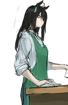 Rule 34 | 1girl, absurdres, ahoge, animal ears, apron, barista, black hair, black pants, collared shirt, ear ornament, ear tag, earrings, expressionless, fujigaya seizo, green apron, grey hair, highres, holding, holding towel, horse ears, horse girl, jewelry, long bangs, long hair, long sleeves, looking at viewer, manhattan cafe (umamusume), multicolored hair, pants, shirt, simple background, single earring, solo, towel, umamusume, white background, white shirt, yellow eyes