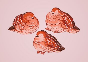 Rule 34 | alt text, animal, animal focus, bird, brown bird, brown eyes, brown feathers, brown theme, closed eyes, closed mouth, commentary, deer print, english commentary, feathers, highres, meyoco, no humans, original, pigeon, pink background, simple background, sitting, warm colored