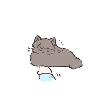 1girl ;3 animal_focus animalization ao_kaeru brown_cat cat disembodied_hand female_pov fujishima_megumi highres link!_like!_love_live! long_sleeves looking_at_viewer love_live! one_eye_closed osawa_rurino osawa_rurino_(winter_loungewear) pov purple_eyes simple_background virtual_youtuber white_background