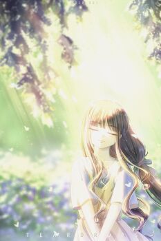 Rule 34 | 1girl, artist name, black hair, black ribbon, blurry, blurry background, branch, brown dress, cardcaptor sakura, closed eyes, closed mouth, collarbone, commentary request, curly ends, daidouji tomoyo, dated, day, dress, eyelashes, facing viewer, falling leaves, flower, hair ribbon, head tilt, highres, leaf, light smile, long sidelocks, low ponytail, outdoors, own hands together, ponytail, ribbon, shirt, short sleeves, sidelocks, sleeveless, sleeveless dress, solo, sunlight, teardrops (user vgvd7733), upper body, white shirt