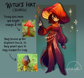 Rule 34 | 1girl, blunt ends, blush, commentary, dress, educational, english commentary, english text, feefal, full body, funguary, highres, holding, holding wand, mushroom, mushroom girl, mushroom hat, object and personification, original, pantyhose, personification, photo inset, reference inset, signature, simple background, smile, solo, wand, witch