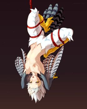 1girl absurdres animal_hands bdsm bird_legs bird_tail black_background bondage bound breasts chicken_girl claws commentary english_commentary feathered_wings feathers grey_hair harpy highres monster_girl navel nipples nude original shibari simple_background small_breasts solo tail talons tongue tongue_out unreal_fish upside-down white_feathers winged_arms wings yellow_eyes