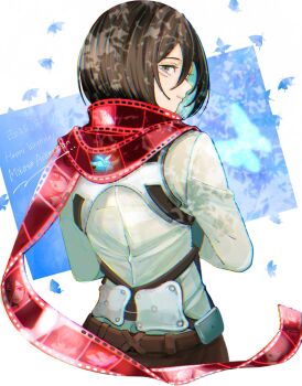 Rule 34 | 1girl, 5nd 0mc, black hair, blue background, blue butterfly, border, bug, butterfly, character name, closed mouth, commentary, dated, facial scar, film reel, grey eyes, hair between eyes, happy birthday, highres, insect, light smile, long sleeves, mikasa ackerman, red scarf, scar, scar on cheek, scar on face, scarf, shingeki no kyojin, shirt, short hair, solo, untranslatable commentary, upper body, white border, white shirt