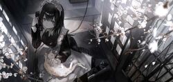 Rule 34 | 1girl, :c, animal, animal on lap, apron, belly rub, black dress, black hair, branch, breasts, cat, cat on lap, corded phone, dress, flower, frilled apron, frills, from above, full body, grey eyes, hair between eyes, highres, holding, holding phone, indoors, long hair, long sleeves, looking at viewer, maid, maid headdress, medium breasts, misumigumi, on lap, open mouth, original, phone, sidelocks, sleeve cuffs, solo, straight hair, suitcase, teeth, white apron, white flower